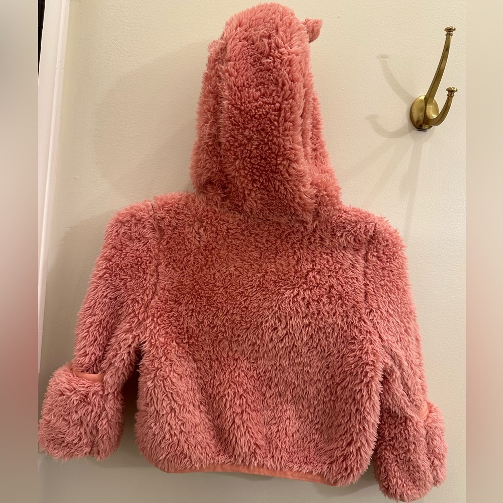 The North Face Baby Bear Full Zip Hooded Coat 0-3M - Picture 10 of 14